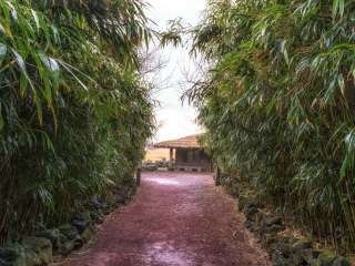 竹岛