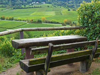 德国葡萄酒之路