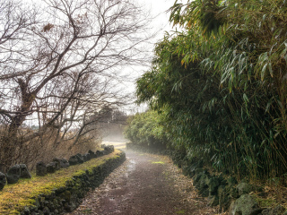 竹岛
