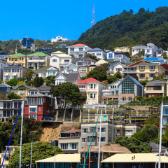 Wellington city residential area on Mount Victoria. A European style houses on terrace.