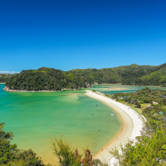 Torrent Bay, Abel Tasman National Park. (New Zealand)
