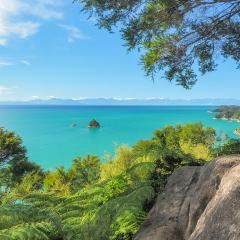 Pinnacle Island, Abel Tasman National Park. (New Zealand)