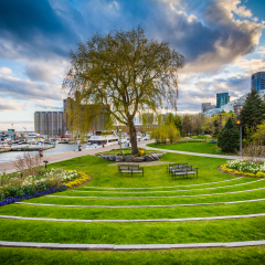 The Toronto Music Garden, at the Harbourfront in Toronto, Ontario.