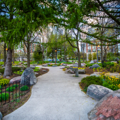 Trees and gardens along a walkway at the Toronto Music Garden, at the Harbourfront in Toronto, Ontario.