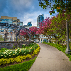 Trees and gardens along a walkway at the Toronto Music Garden, at the Harbourfront in Toronto, Ontario.