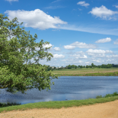 A landscape view of Richmond park on a sunny day