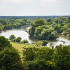 Fields of Richmond park in London, UK
