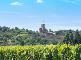 德国葡萄酒之路