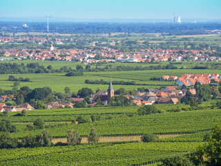 德国葡萄酒之路