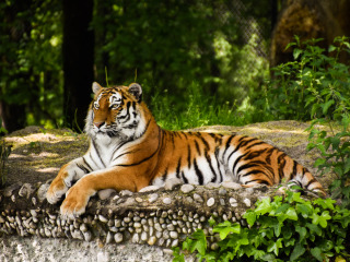 慕尼黑海拉布伦动物园