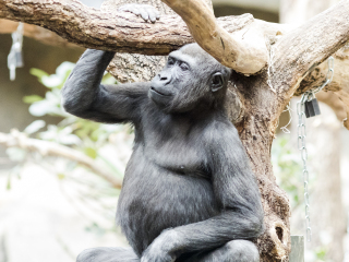 慕尼黑海拉布伦动物园