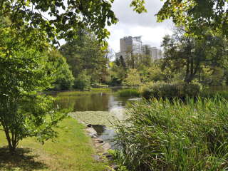 哈利法克斯公共花园