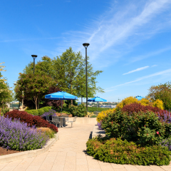 Hudson River Park Spring - NYC