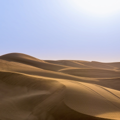 Sand dunes