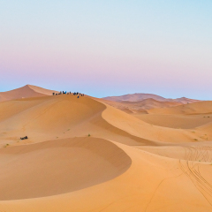 sand desert
