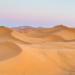 sand desert
