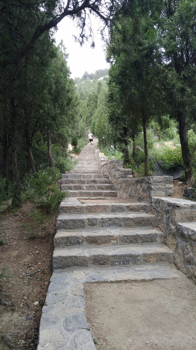 去往大佛頭的登山路