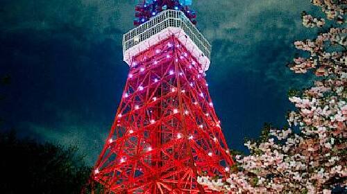 本州半自助双古都8日游 2天自由活动 南京往返