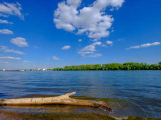 莱茵河畔森林公园