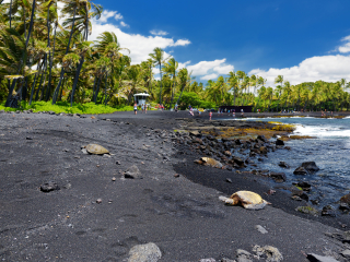 夏威夷黑沙滩