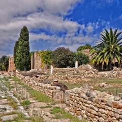 Roman Villas, Carthage. Tunisia, North Africa, Africa.
Remains of Roman villas. UNESCO World Heritage Site.