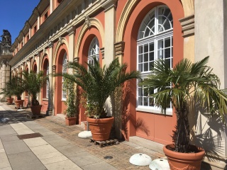 波茨坦电影博物馆