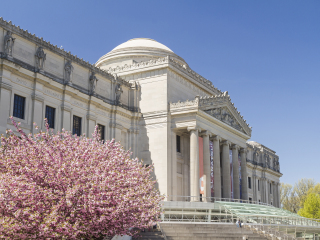 布鲁克林博物馆