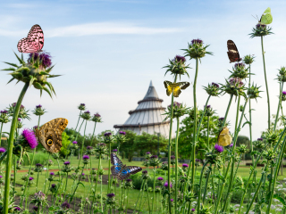 马格德堡千禧塔