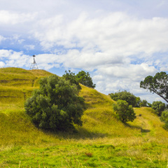 Summit of Mt Hobson Auckland New Zealand