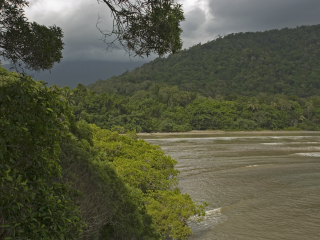 道格拉斯沼泽地公园