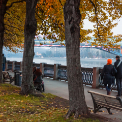 Autumn 2013. Russia. Moscow.Central Park of Culture and Rest named after Gorky. Embankment of the Moscow river.