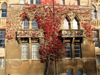 牛津大学博物馆