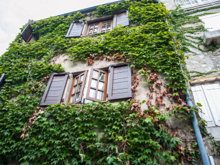 普罗旺斯圣保罗