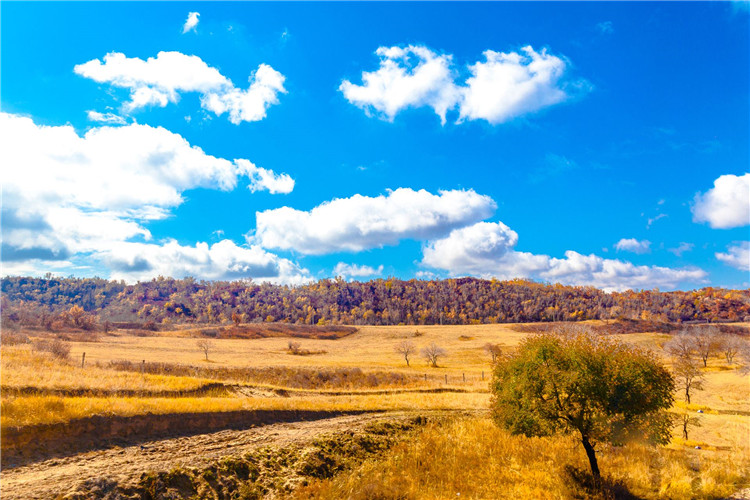 阿尔山林俗雪村,揭密雪屋建成记