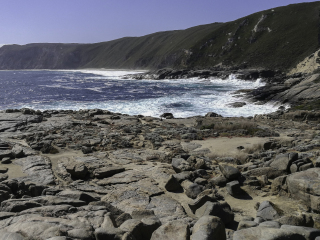 威廉山国家公园