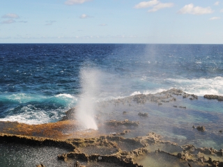 喷水海岸