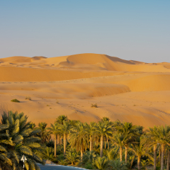 Desert dunes in Liwa oasis, Abu Dhabi, United Arab Emirates