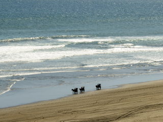 巴朗特里提斯海滩