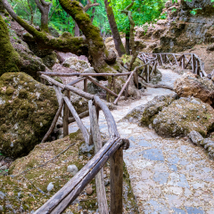 Valley of the Butterflies (Petaloudes) on the Island of Rhodes.