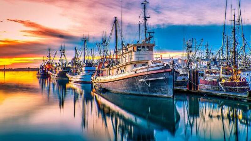 旧金山往返洛杉矶 Cii_J1nm5fOIH4YAAACXPRoM-I4AACTxACpiqoAAJdV28_w800_h0_c0_t0.jpeg