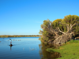 珀斯野生动物园