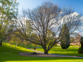 塔斯马尼亚皇家植物园