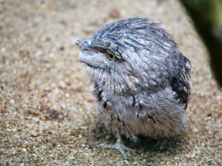 道格拉斯港野生动物栖息地