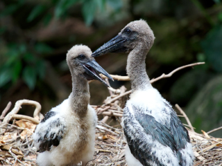道格拉斯港野生动物栖息地