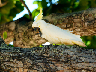 道格拉斯港野生动物栖息地