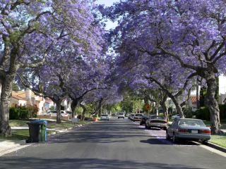 好莱坞明星豪宅