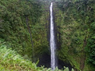 夏威夷大岛热带雨林瀑布