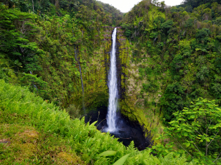 夏威夷大岛热带雨林瀑布