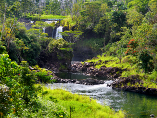 夏威夷大岛热带雨林瀑布