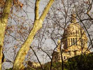 国家当代艺术博物馆